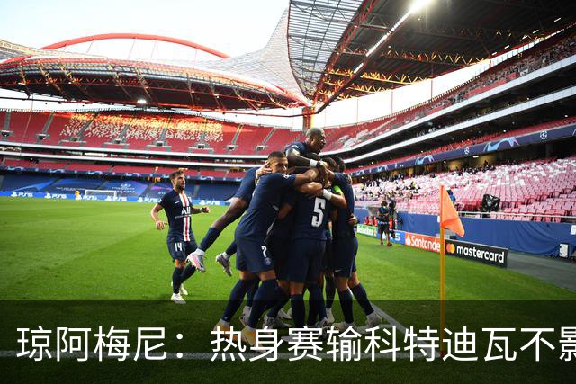琼阿梅尼：热身赛输科特迪瓦不影响法国，可以说是一次小小的提醒